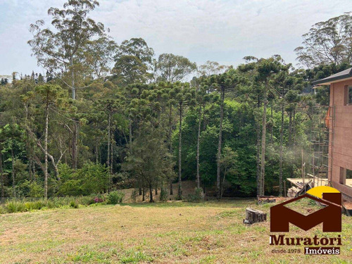 Imagem 3 de 15 de Terreno Em Residencial Fechado - 2084