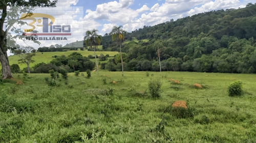 Imagem 14 de 15 de Sítio Em Centro - Ouro Fino - 1460