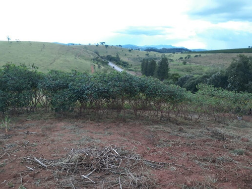 Bela Chácara Em Baependi Sul De Minas , Com 1000 M2 , Condomínio Recanto Da Flora - 239