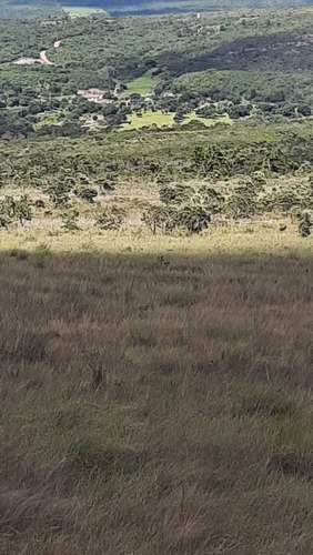 Imagem 6 de 8 de Terreno Na Chapada Diamantina
