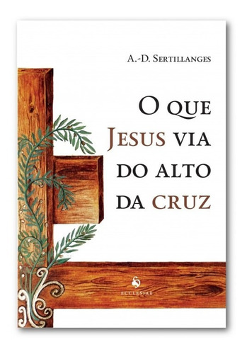 Livro O Que Jesus Via Do Alto Da Cruz