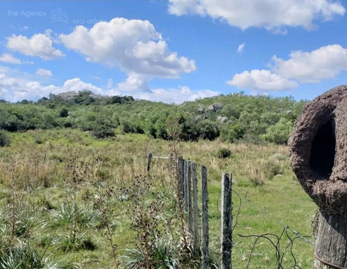 Imagen 4 de 15 de Campo Ganadero En San Jose De 126 Ha, Sierra De Mahoma, Ganadero