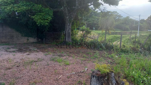 Imagem 5 de 8 de Chácara À Venda Em Vila Cascais - Ch002098