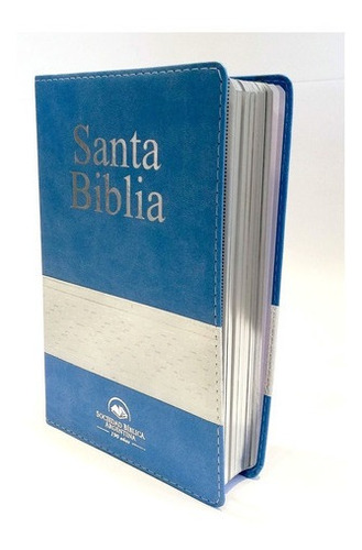 Biblia Argentina Letra Grande Reina Valera 1960 Simil Piel