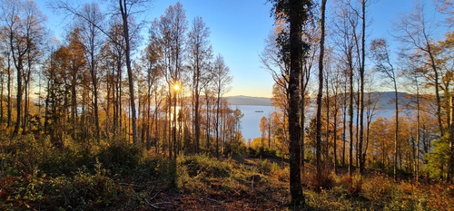 Imagen 20 de 30 de Mirador Del Calafquen, Panguipulli, Playa Y Vistas