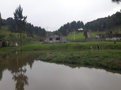 Imagem 20 de 30 de Chacara - 404 - 69427680