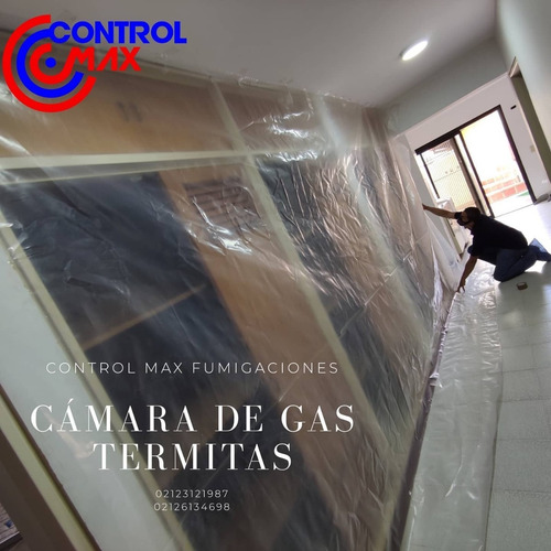 Imagen 7 de 10 de Servicio De Fumigacion Chiripas Pulgas Termitas Acaros