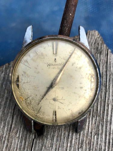 Reloj Pulsera Waldman, 17 Jewels, Cal. Eb 1197, Swiss Made.