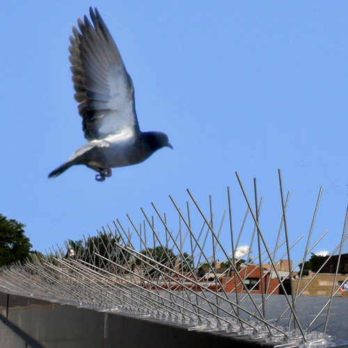 Púas - Picos Inoxidables Para Ahuyentar Pájaros / Aves