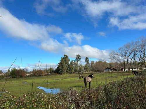 Cod38911 Venta Sitio Urbano Sector Residencial En Chillán