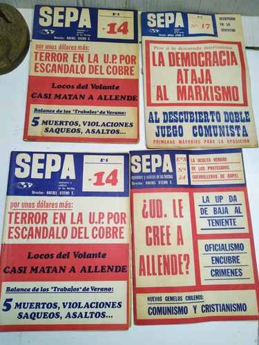 Revista Sepa Allende 