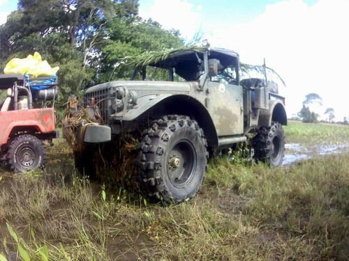 Dodge M 37 1955