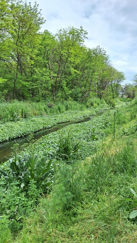 Hectarea De Campo En Marcos Paz