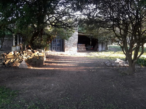 Campo 57 Has Con Casco Antiguo