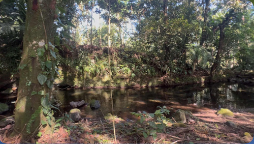 Su Hogar En Un Paraíso Natural Con Río Y Vida Silvestre