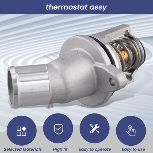 1732030175 Termostato Assy Para Tivoli X100 201