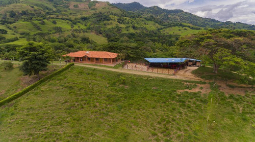 Finca Ganadera En Venta En Obando Valle 