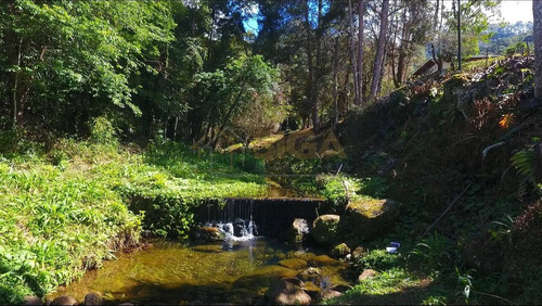 Imagem 12 de 15 de Lotes Em Condomínio De Luxo No Cônego - Nova Friburgo - 213
