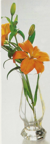 Imagen 2 de 3 de Florero Novoctime Arcoroc Soliflor 20 Cm