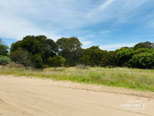 Venta De Lote, Villa Gesell Norte - Costa Altlantica