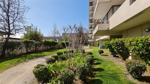 Arriendo Departamento Conexcelente Ubicación Vicuña Poniente