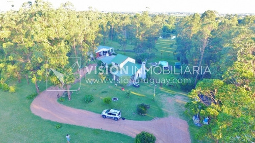 Imagen 3 de 30 de Chacra De 15 Hás Con El Confort De Hermosa Casa Reciclada, Barbacoa Y Piscina Climatizada.