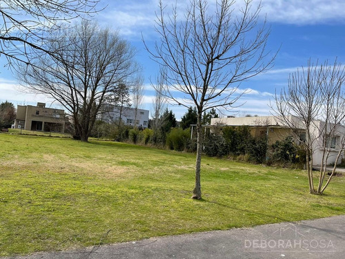 Imagen 4 de 7 de Terreno - Álamo Alto - Zona Norte - Escobar