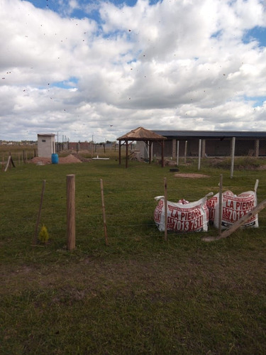 Imagen 19 de 21 de Terreno En Venta En Domselaar