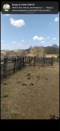 Imagem 5 de 13 de Fazenda Montada Pra Pecuária Município Unai