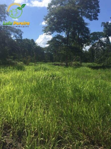 Imagem 4 de 9 de Fazenda À Venda Em Recursolândia -t0 - 3998 Hectares (dupla Aaptidão) - 1592