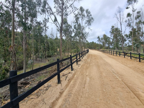 Vendo Parcelas A 20 Kms. Aproximadamente De Peralillo