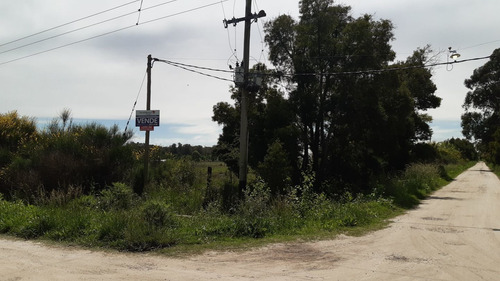 Imagen 5 de 7 de Lote De 20x67.5 En Veronica
