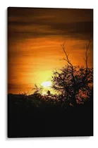 Comprar Canvas Lab Cuadro Atardecer Entre Arboles 40x60