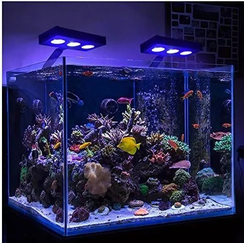 Luz Led De Acuario 30 W De Coral For Agua Salada
