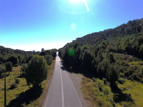 Oportunidad! Inversión O Forestal En Carretera Austral.
