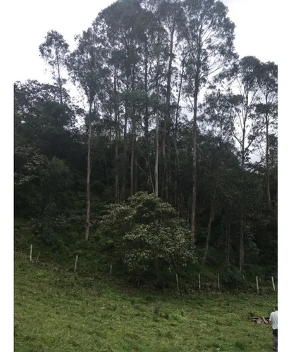 Vendo O Permuto Finca En Junin Cundinamarca