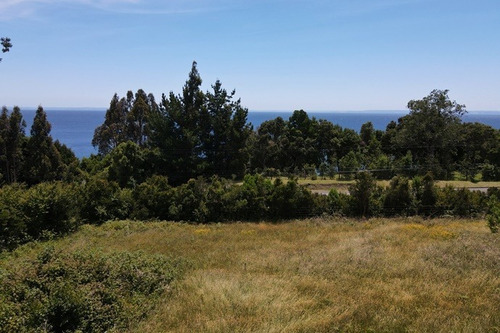 Maravillosa Parcela Con Acceso A La Playa Del Lago