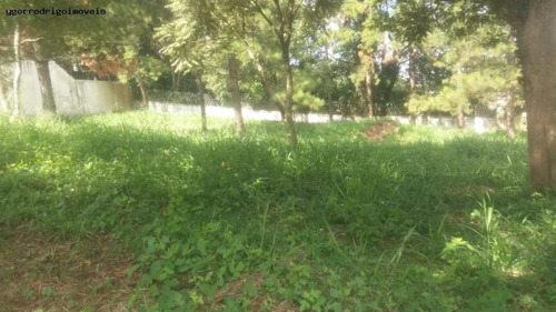 Imagem 8 de 15 de Terreno Para Venda Em Guarulhos, Portal Dos Gramados - 4071_1-1127536