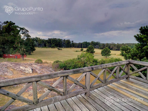 Imagen 19 de 29 de Chacra En Venta - La Pataia