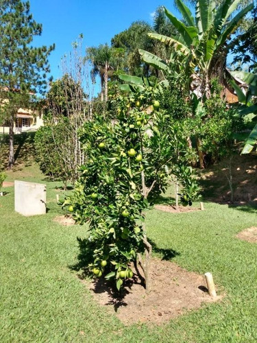 Chácara À Venda, 2800 M² Por R$ 1.200.000,00 - Mairinque - Mairinque/sp - Ch0528