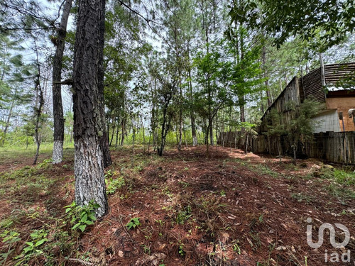 Venta Terreno 0 Ambiente Chijiltec (san Isidro)