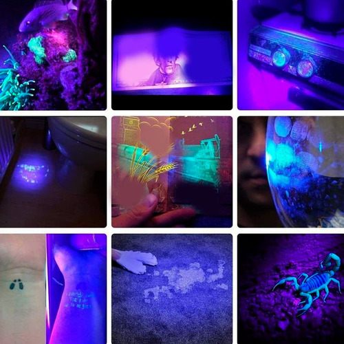 Linterna De Luz Negra Uv Led De 365 Nm Para Mascotas