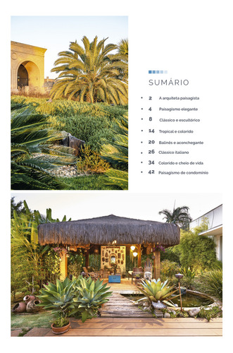 Colecao Grandes Paisagistas Brasileiros - Os Melhores Projetos De Maria Luiza Aceituno, De A Europa. Editora Europa, Capa Mole, Edição 1 Em Português, 2023