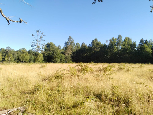 Parcela De 5000mtrs2, Sector Chucauco, Camino Vrca Freire