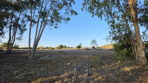 Parcelas Planas En Algarrobo Norte En Condominio Consolidado
