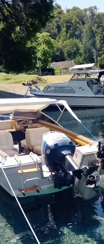 Motor Fuera De Borda Evinrude