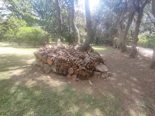 Imagen 9 de 30 de Hermosa Quinta Con Mucha Arboleda Añeja
