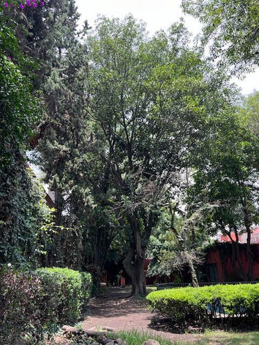 Se Vende Casa Como Terreno En La Colonia Florida!!!!