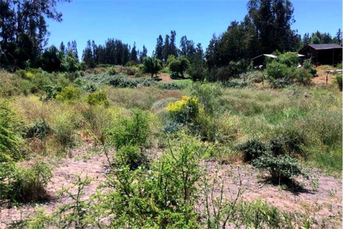 Terreno De 5.000 Mt2 En Tranquilo Lugar Codigua