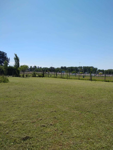 Imagen 2 de 10 de Ventalote En Francisco Alvarez Moreno 1537 M2 A 20 Mts De Colectora Sur